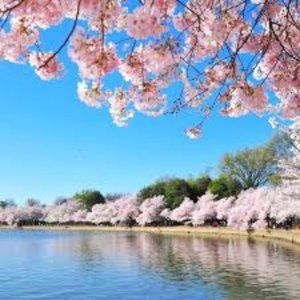 Meet your Posher, Bavery